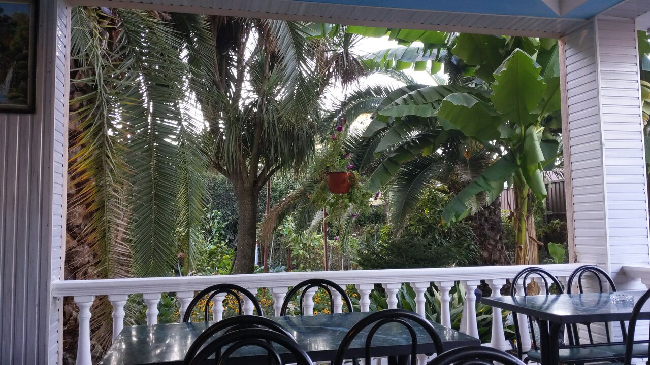 Гостиница Тропики Адлер-43