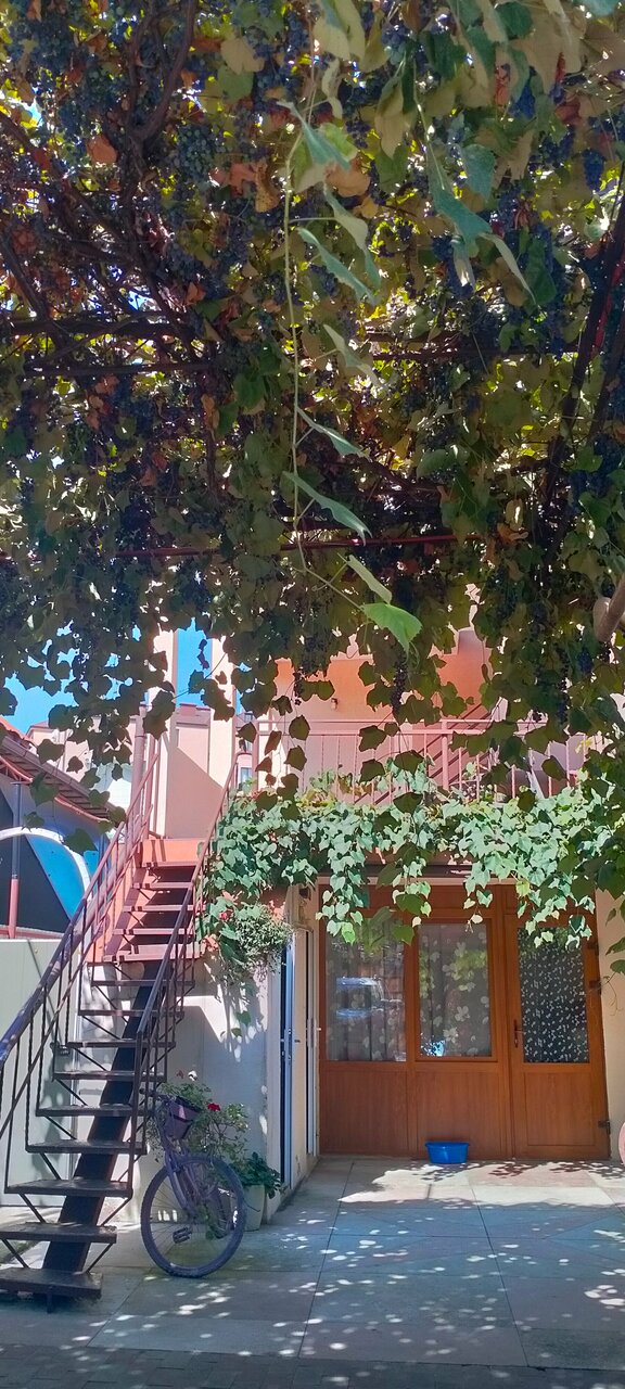 Гостиница Тропики Адлер-22