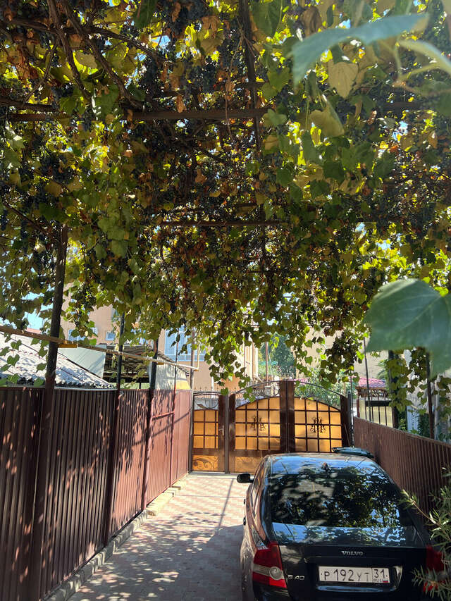 Гостиница Тропики Адлер-47