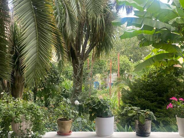 Гостиница Тропики Адлер-13