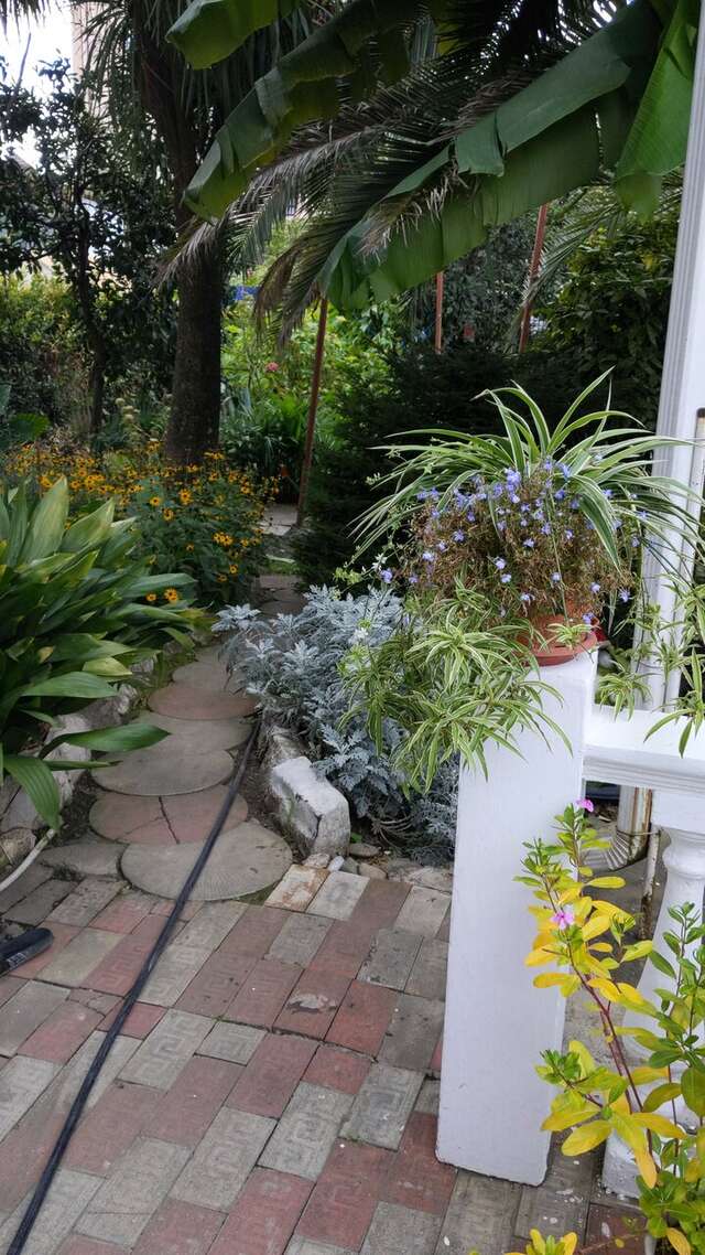 Гостиница Тропики Адлер-39