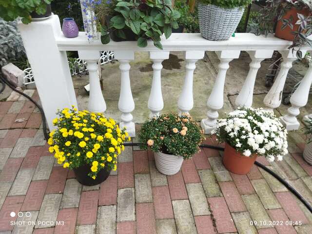 Гостиница Тропики Адлер-17